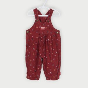 Vintage Oshkosh Corderoy Overalls